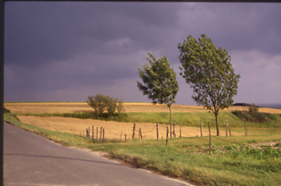 Tour-de-France53